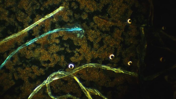 2311876c163bc8f0773832c77f03db3b 7 3 2