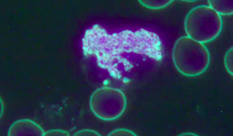 screenshot 2025 09 21 at 21.47.57