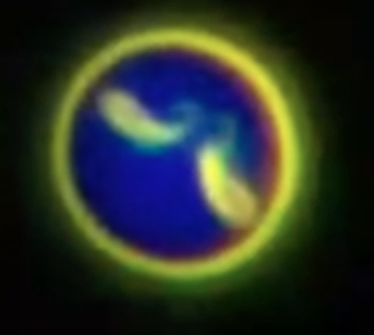 screenshot 2025 10 02 at 18.04.09