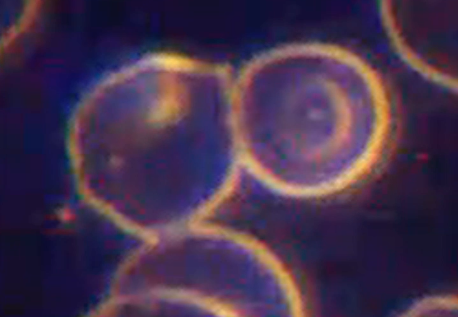 screenshot 2025 10 02 at 18.24.01