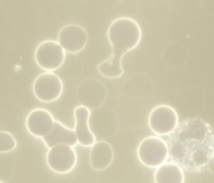 screenshot 2025 10 02 at 18.43.12