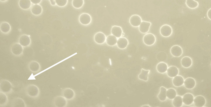 screenshot 2025 10 02 at 18.50.13