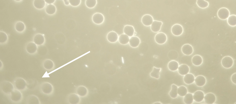 screenshot 2025 10 02 at 18.50.13