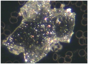 Red or bright-red crystals / inclusions